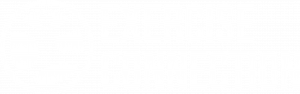 white exercise connection logo
